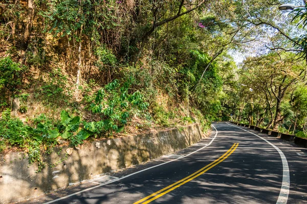 Estrada Curval Sob Árvore Cidade Com Ninguém — Fotografia de Stock