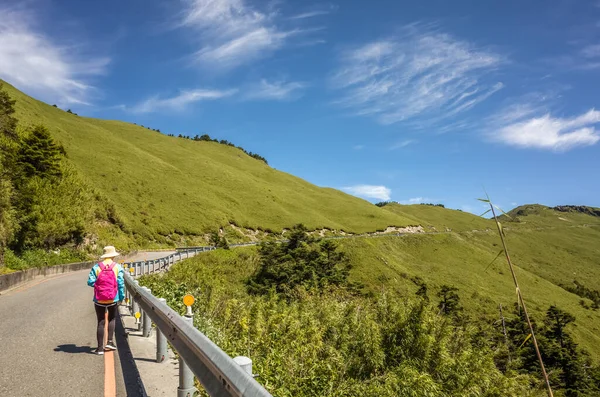 Visão Traseira Mulher Montanhosa Asiática Andando Caminho Montanha Hehuan Taiwan — Fotografia de Stock