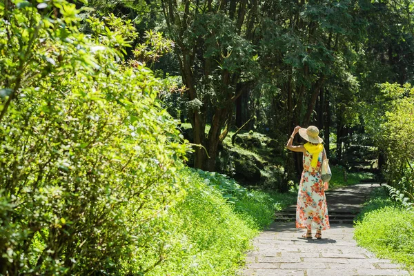 Gezgin Asyalı Kadın Xitou Nantou Tayvan Ormanda Yürüyüş Yapıyor — Stok fotoğraf