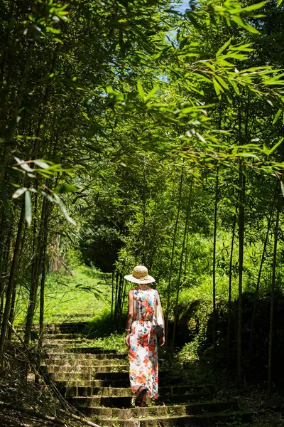 Asiatische Wanderin Wald Bei Xitou Nantou Taiwan — Stockfoto