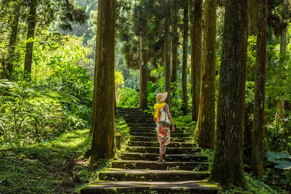 Resor Asiatisk Kvinna Vandring Skogen Vid Xitou Nantou Taiwan — Stockfoto