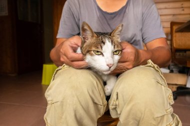 Adam kedisini uyluğundan tutup evde onunla oynuyor.