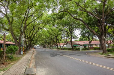 Nantou, Tayvan - 25 Haziran 2019: Zhongxing New Village, Nantou, Tayvan'da eski ev ve ağaçlarla sokak manzarası