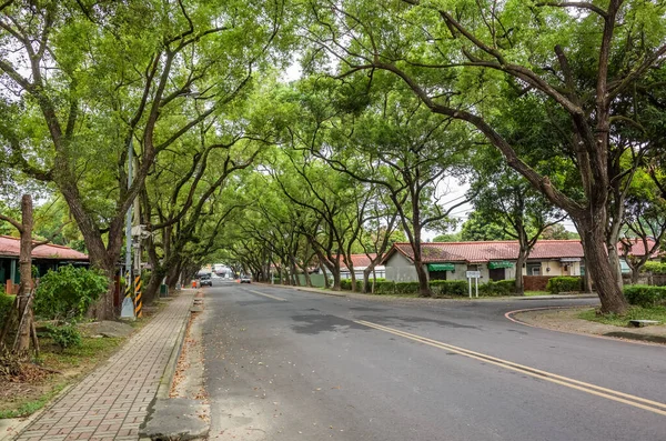 Nantou, Tayvan - 25 Haziran 2019: Zhongxing New Village, Nantou, Tayvan'da eski ev ve ağaçlarla sokak manzarası