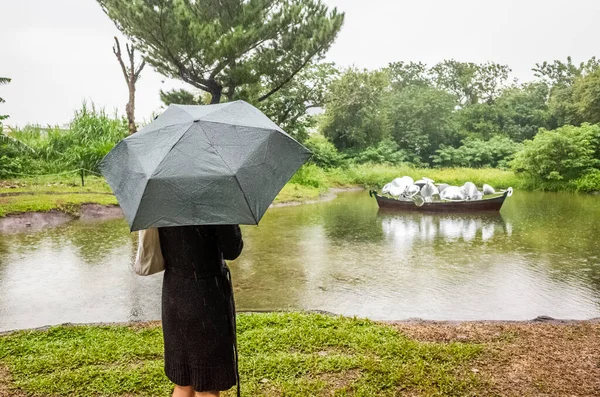 台湾桃源 2019年9月13日 桃源土地艺术节雨天与游客在台湾桃源市举行 — 图库照片