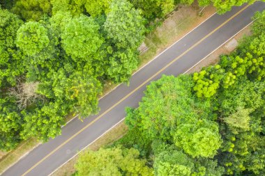 orman altında yol, gündüz havadan görünümü