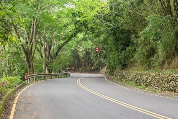 台湾日月潭树下的道路 — 图库照片