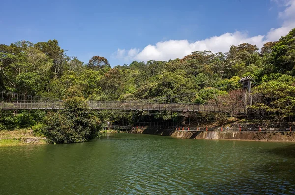 Paisagem Lagoa Com Ponte Suspensa Reservatório Toushe Nantou Taiwan — Fotografia de Stock