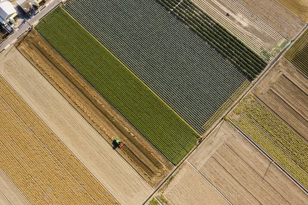 Flygfoto Färgglada Gård Med Grönsaker Och Ris Changhua Taiwan — Stockfoto