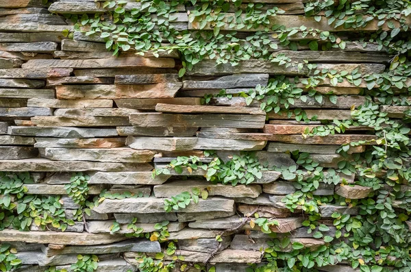 Muro Pietra Con Sfondo Verde Muschio — Foto Stock