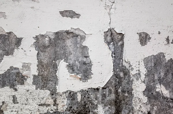 Fond Mur Ciment Avec Texture Fissurée Huile — Photo
