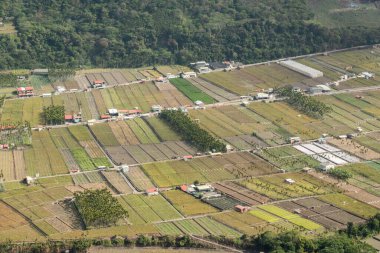 Nantou, Tayvan 'da nehir ve köprüsü olan bir vadideki köy manzarası
