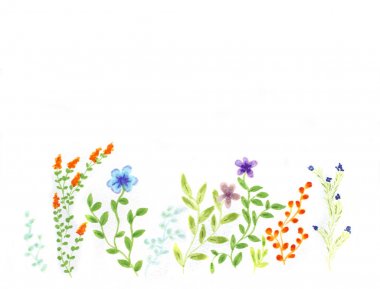 Aquarelle çiçekler arka plan