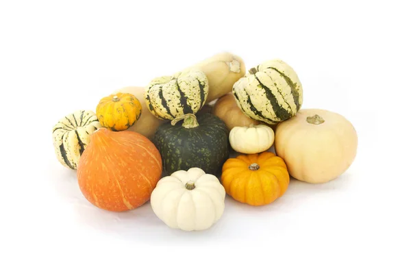 Pumpkins collection isolated on white — Stock Photo, Image