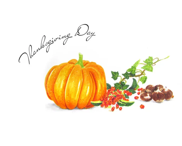 Podzimní ovoce ručně kreslené ilustrace — Stock fotografie