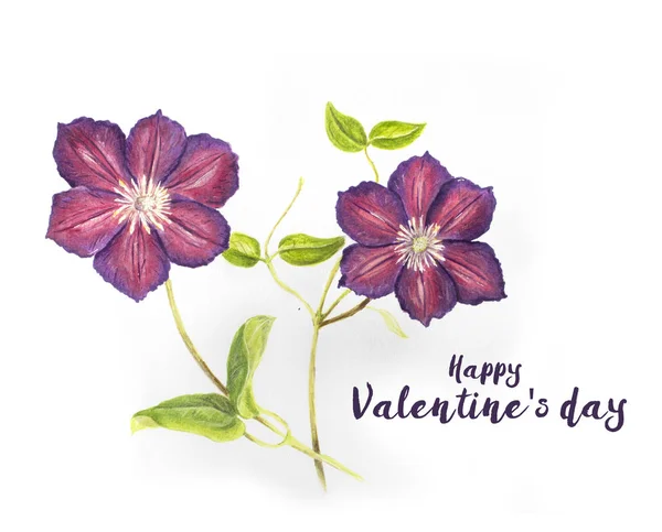 Valentines day card with Hand drawn purple Clematis — Stock Photo, Image