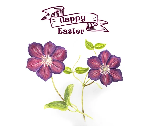 Easter illustration: Hand draw clematis — Stock Photo, Image