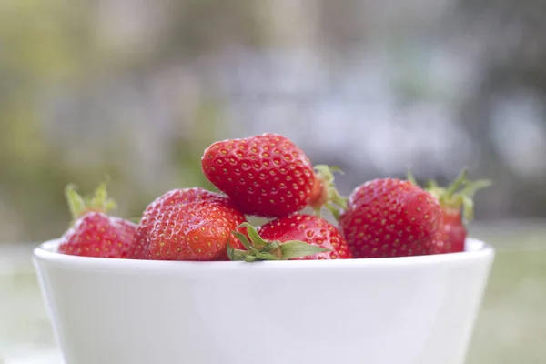 Srawberries in white bowl — Stock Photo, Image