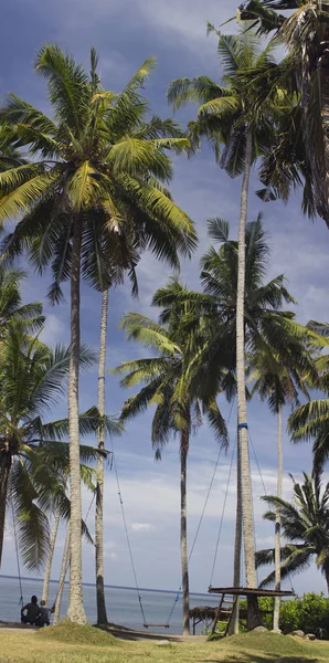 Cocos palmbomen met schommel op Bali — Stockfoto