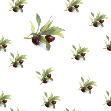 Elle çizilmiş zeytin dalı ile kusursuz desen