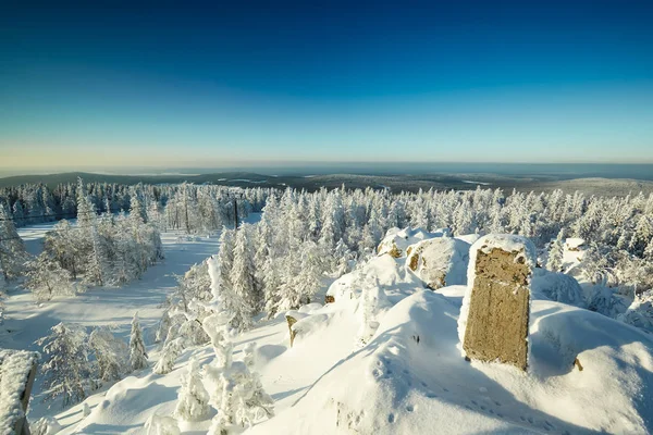 Zimní krajina s sněhová víla zahrnuty stromy — Stock fotografie