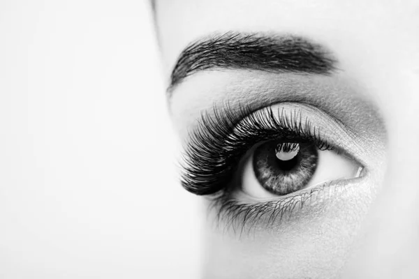 Kobiece oko z długo fałszywych rzęs — Zdjęcie stockowe
