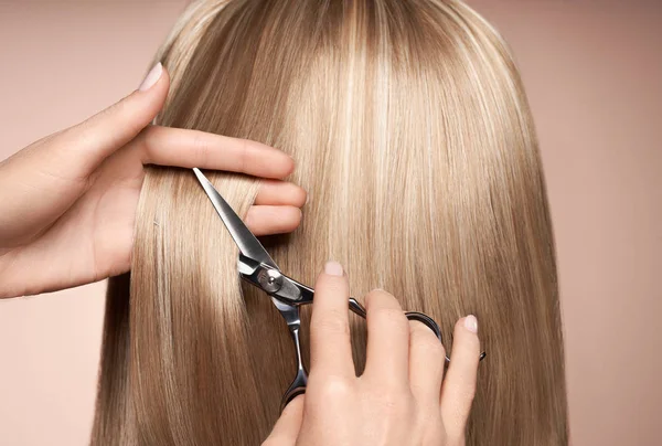 Hairdresser cuts long blonde hair with scissors — 스톡 사진