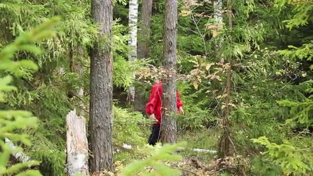 숲이을 자연 버섯을 수집 하는 여자 — 비디오
