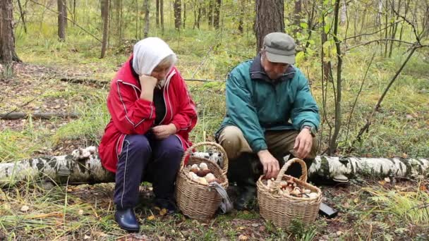 Elderly people talking, relaxing while picking mushrooms — Stock Video