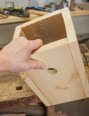 Kuşlar için küçük ev plakalar yapılır