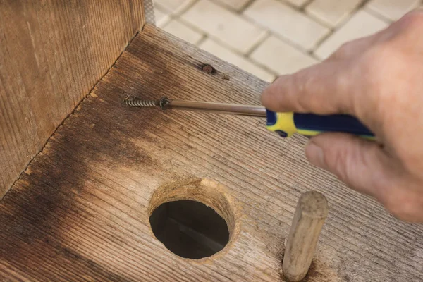 Repaired birdhouse springtime — Stock Photo, Image