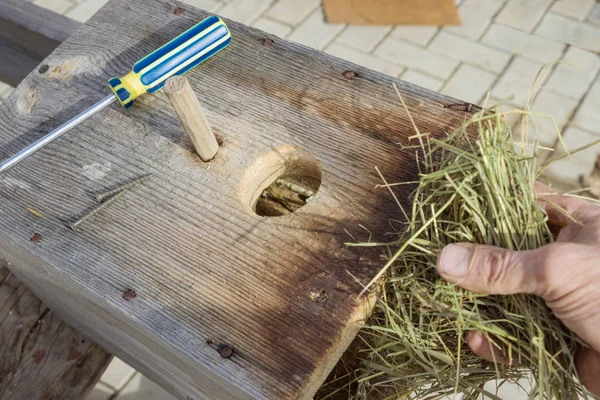 Old birdhouse is preparing for arrival of the birds — Stock Photo, Image