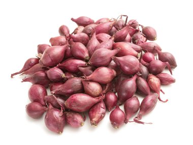 Küçük soğan dikimi için amaçlanan