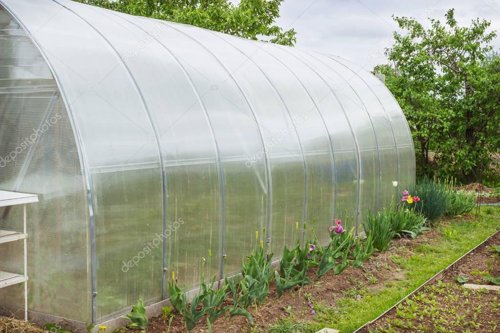 Greenhouse from polycarbonate in a small area