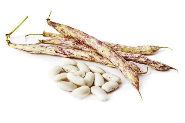 Grain beans and pods on white background — Stock Photo, Image