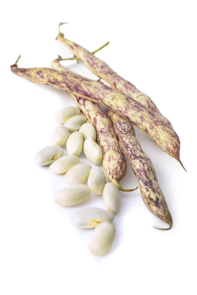 Grain beans on white background — Stock Photo, Image