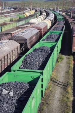 Kandalaksha istasyonunda kömür ile vagonlar