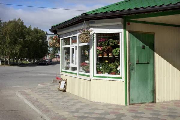 Flower kiosk in one of the microdistrict of Kandalaksha — Stock Photo, Image