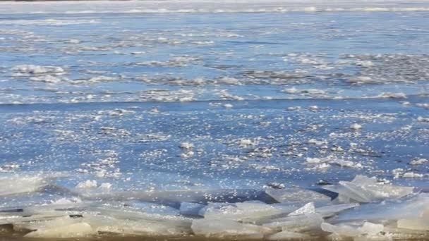 Der Fluss Friert Bricht Das Eis Bilden Sich Buckelpisten — Stockvideo