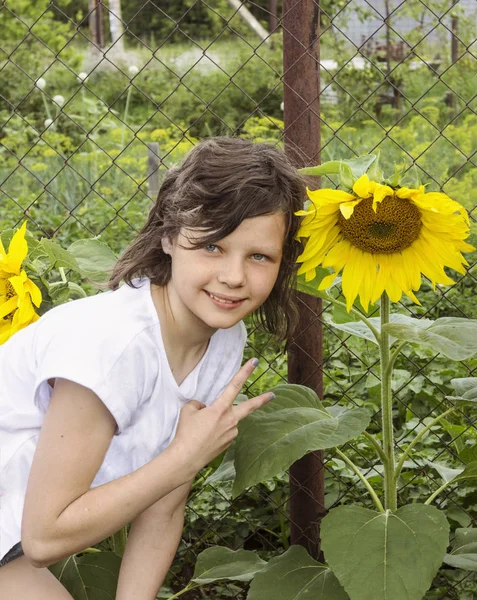 Menina no para crescer um girassol. Sorriso feliz em seu rosto — Fotografia de Stock