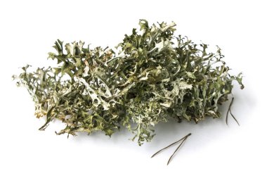 Beden eğitimi. Bitkisel Alternatif Tıp. Çerrarya bitkisi.