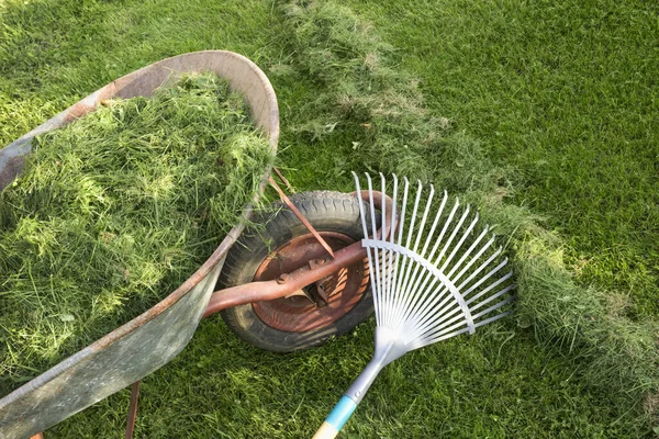 Taczka pełna zielonej trawy z grabiami na trawniku — Zdjęcie stockowe