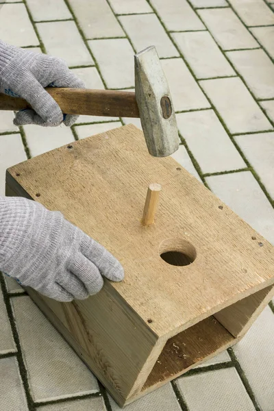 Making Birdhouse Pine Boards Help Birds Spring — Stock Photo, Image