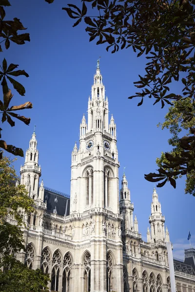 Rådhuset i Wien Österrike — Stockfoto