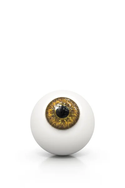 Ilustração do globo ocular marrom — Fotografia de Stock