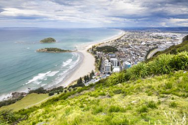 Mount Maunganui Plenty Bay görünümünden