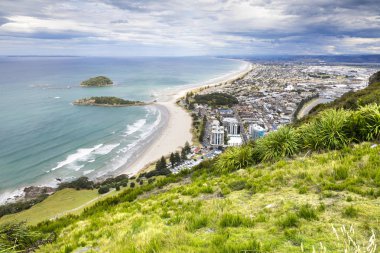 Bay Of Plenty view from Mount Maunganui clipart