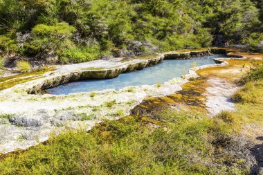 waimangu volkanik aktiviteler
