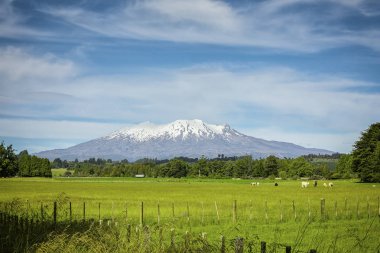 Mount Ruapehu volkan Yeni Zelanda
