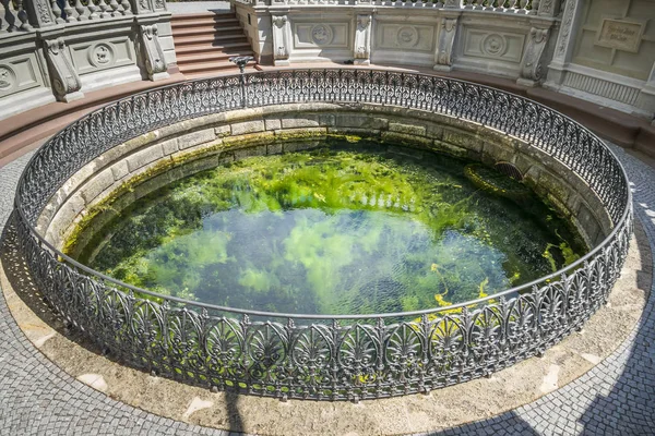 Kaynak nehir Donaueschingen Tuna